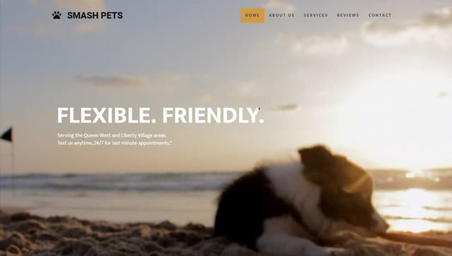 Smash Pets  Website Screenshot