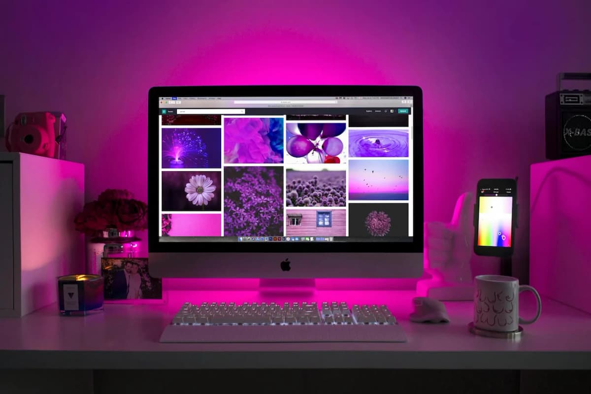 Design to web services - Photoshop Figma to Web - Web Design & Development